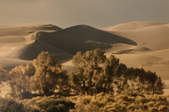 sand-dunes-scaled